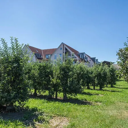 Ferienwohnung Jansen Apartment Meckenbeuren
